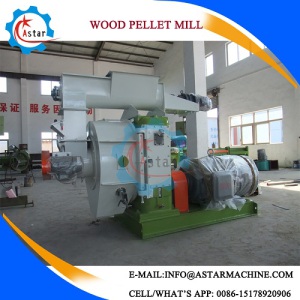 1t/H Rice Husk Pellet Machine in Thailand